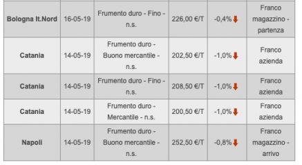 produzione italia grano duro2